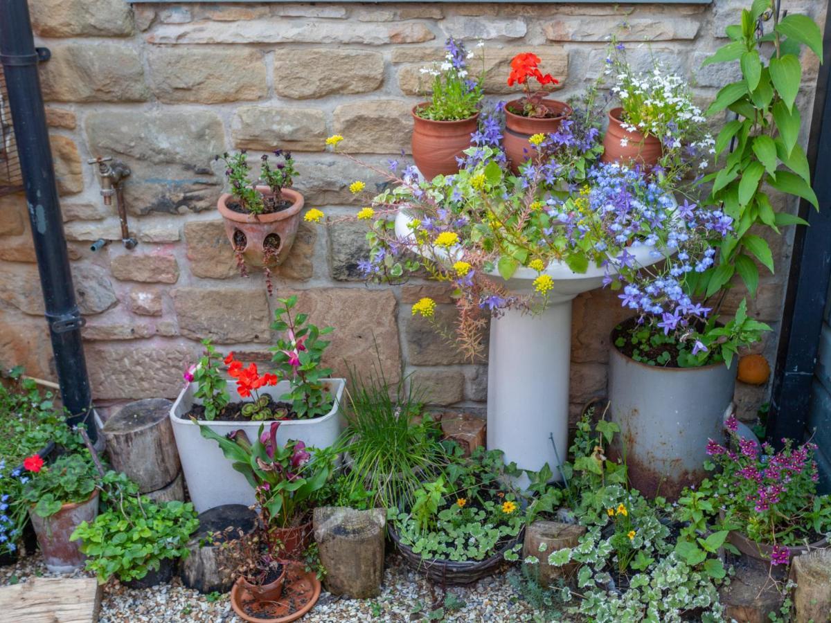Shaftoe'S Bed And Breakfast Haydon Bridge Exteriör bild